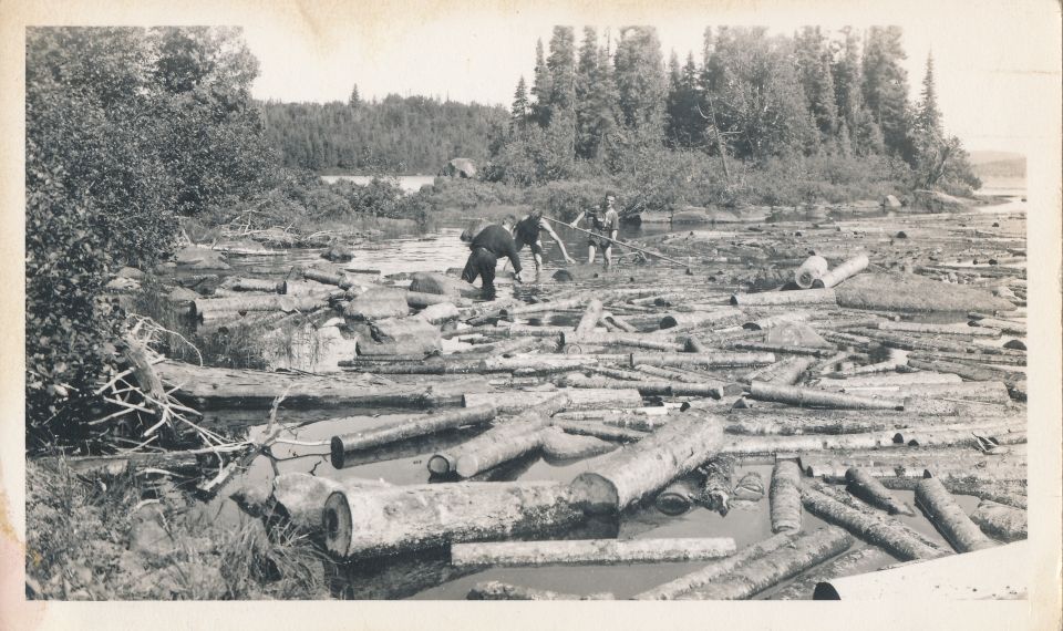 Mémoire de draveurs